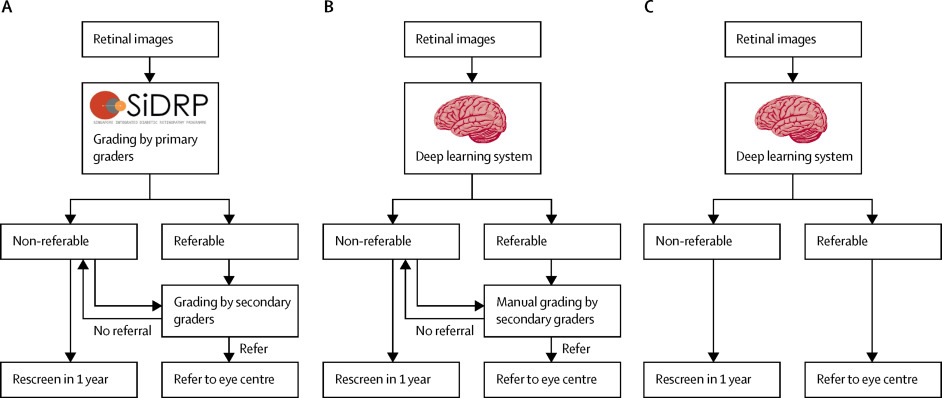 Inteligencia artificial para el cribado de retinopatía diabética